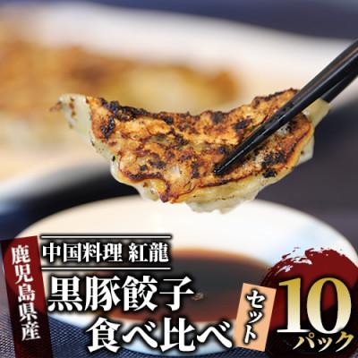 ふるさと納税 指宿市 カツオ餃子・黒豚餃子食べ比べセット(010-392)