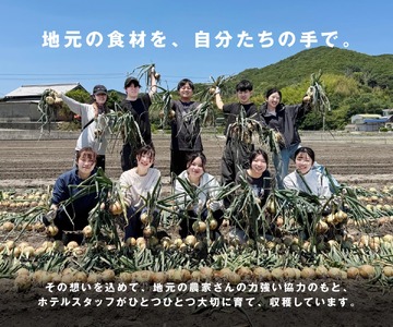 【予約販売】海月館 自社農場栽培！淡路島産 新玉ねぎ 10kg