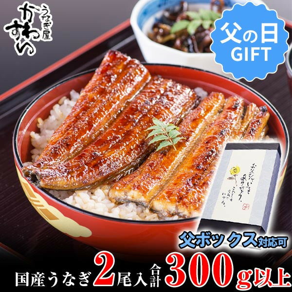 国産うなぎ蒲焼き大サイズ2本セット