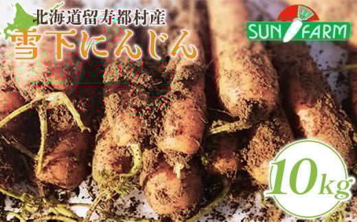 雪下にんじん 10kg 人参 にんじん ニンジン 越冬 オンライン 申請 ふるさと納税 北海道 留寿都 野菜 春 旬野菜 季節野菜 甘い フルーツ みずみずしい 産地直送 新鮮 採れたて サラダ カレー おかず 10キロ 留寿都村【2400501】