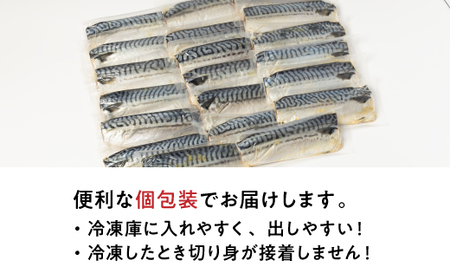 【訳あり】塩さば 20切れ 約2.2kg(個包装)【配送不可地域：離島】【1486464】