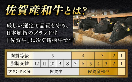 佐賀県産和牛 牛タンしゃぶしゃぶセット 500g 和牛 牛肉 牛たん たん 鍋 年末 肉 佐賀 吉野ヶ里町/やきとり紋次郎[FCJ058]