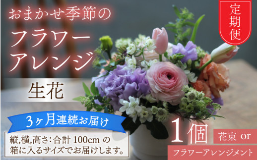 
【定期便3回】おまかせ季節のフラワーアレンジ（生花）×3ヶ月 お好み 日時指定可能
