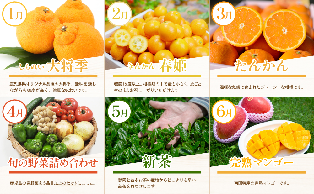 【定期便】南国の恵み 旬のフルーツ・野菜定期便（全12回） 鹿児島県産 果物 フルーツ 柑橘 みかん 野菜 お茶 米 お米 コシヒカリ ぶどう シャインマスカット マンゴー メロン 定期便