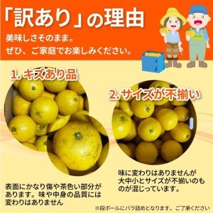 訳あり 小夏5キロ （白浜農園の減農薬小夏）柑橘 みかん ミカン 果物 フルーツ 日向夏 おやつ デザート 美味しい ワケアリ ご自宅用【R01153】