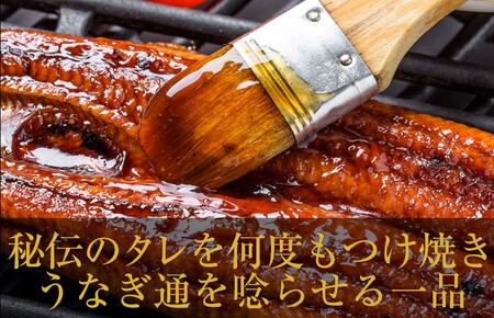 【7/19土用の丑の日】国産うなぎ ハーフカット 合計 200g 秘伝のたれ 蒲焼 訳あり 鰻 ウナギ 無頭 炭火焼き 備長炭 手焼き 先行予約