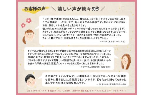 【定期便3回】＜アルテトマト 約800g（10‐16玉）×3箱＞計約2.4kg フルーツトマト 栽培期間中化学農薬・化学肥料不使用 高知県 トマトハウスナカムラ 【常温】 牧野富太郎博士の好物 佐川町