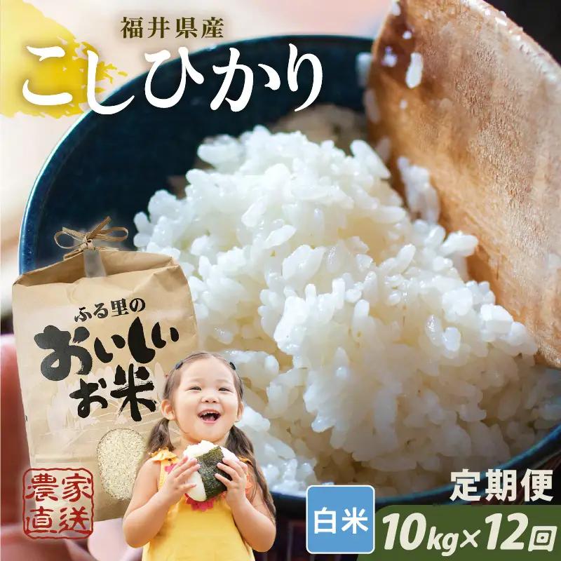 【先行予約】【令和8年産・新米】【農家直送定期便 12ヶ月コース】【白米】 本原農園のまごころコメた 福井県産 コシヒカリ 10kg × 12回 計120kg 【2026年10月上旬以降順次発送】 [O-8913_01]