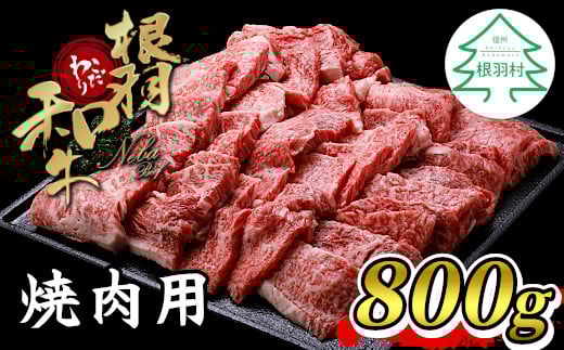 国産黒毛和牛 焼肉 盛り合わせ モモ バラ 800ｇ（400ｇ×２）根羽こだわり和牛 焼肉用 ＢＢＱ 和牛 バーベキュー 焼肉セット