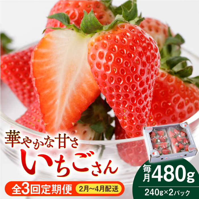 【R8年2月以降発送】【3回定期便】いちごさん 240g×2パック [2・3・4月配送]【StrawberryFarm-K】 [IBJ009]