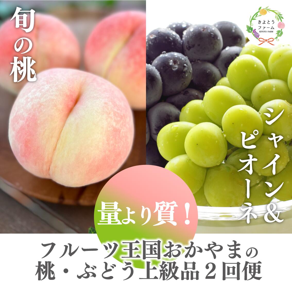 【ふるさと納税】【2026年先行予約】量より質！桃とピオーネ＆シャインマスカット、上級品の2回便 (定期便)(岡山県産) 【配送不可地域：離島】 【KF-T032-02】