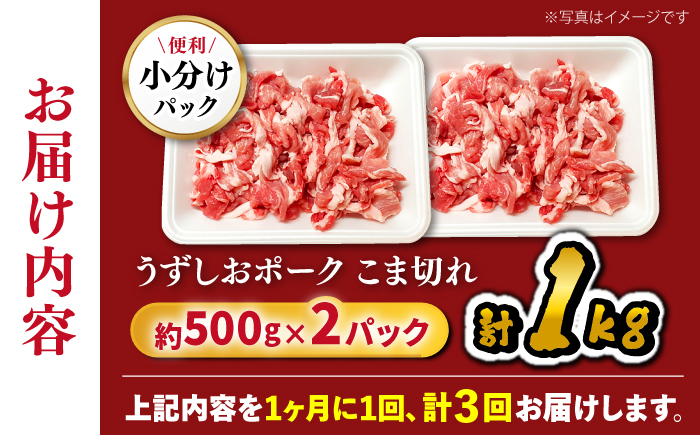 【3回定期便】【使い勝手◎】長崎うずしおポーク こま切れ 計1kg（500g×2P）＜スーパーウエスト＞ [CAG311]