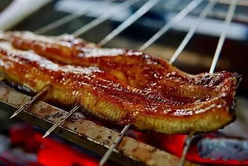 【厳選】横山桂一さんのS級 鰻　うなぎ 長蒲焼き大５尾（計750g以上）| うなぎ