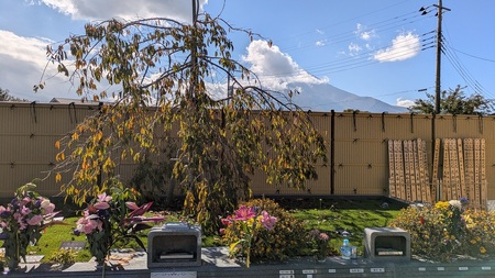 承天寺　忍野富士樹木葬永代供養