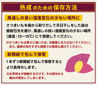 【先行予約】【2025年10月以降発送】【訳あり】紅はるか　計 約１０kg　(8kg+約25%補償分)【さつまいも サツマイモ 紅はるか 茨城県 鹿嶋市 10000円以下】（KAM-24）