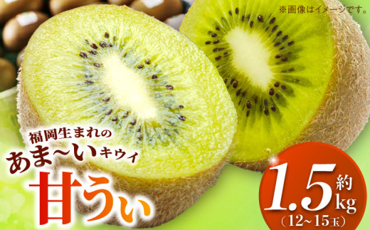 【2026年10月以降お届け】甘うぃ1.5kg箱_甘い キウイ 甘うぃ キウイフルーツ 1.5kg 国産 甘みの強い 果実 黄色味 福岡 オリジナル品種 濃厚 まろやか 高糖度 フルーツ 果物 ヨーグルト スムージー ジュース デザート 福岡県 久留米市 お取り寄せ お取り寄せフルーツ 送料無料_Fx019