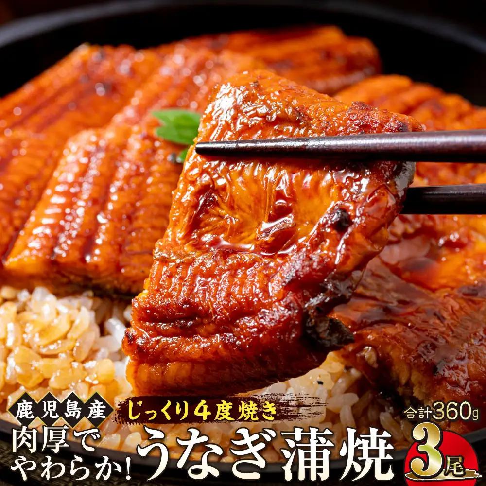 うなぎ 蒲焼 120g×3尾【鹿児島産】地下水で育てた絶品鰻｜うなぎ