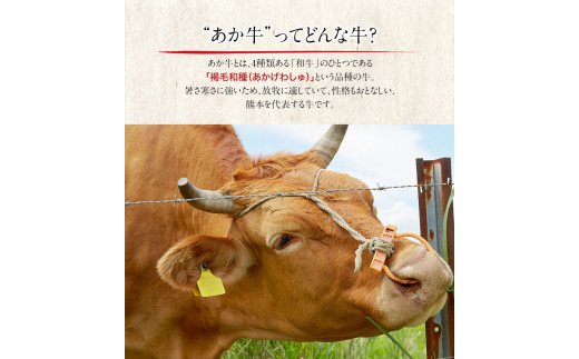 熊本県産和牛あか牛 ロースステーキ 500g 《90日以内に出荷予定(土日祝除く)》あか牛 赤牛 あかうし 山江村