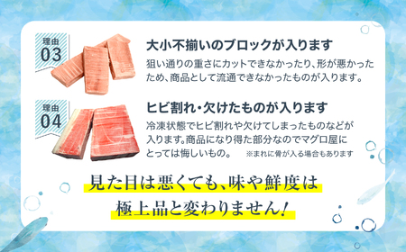 【定期便/計3回】訳あり 本マグロ(6-8人前) 