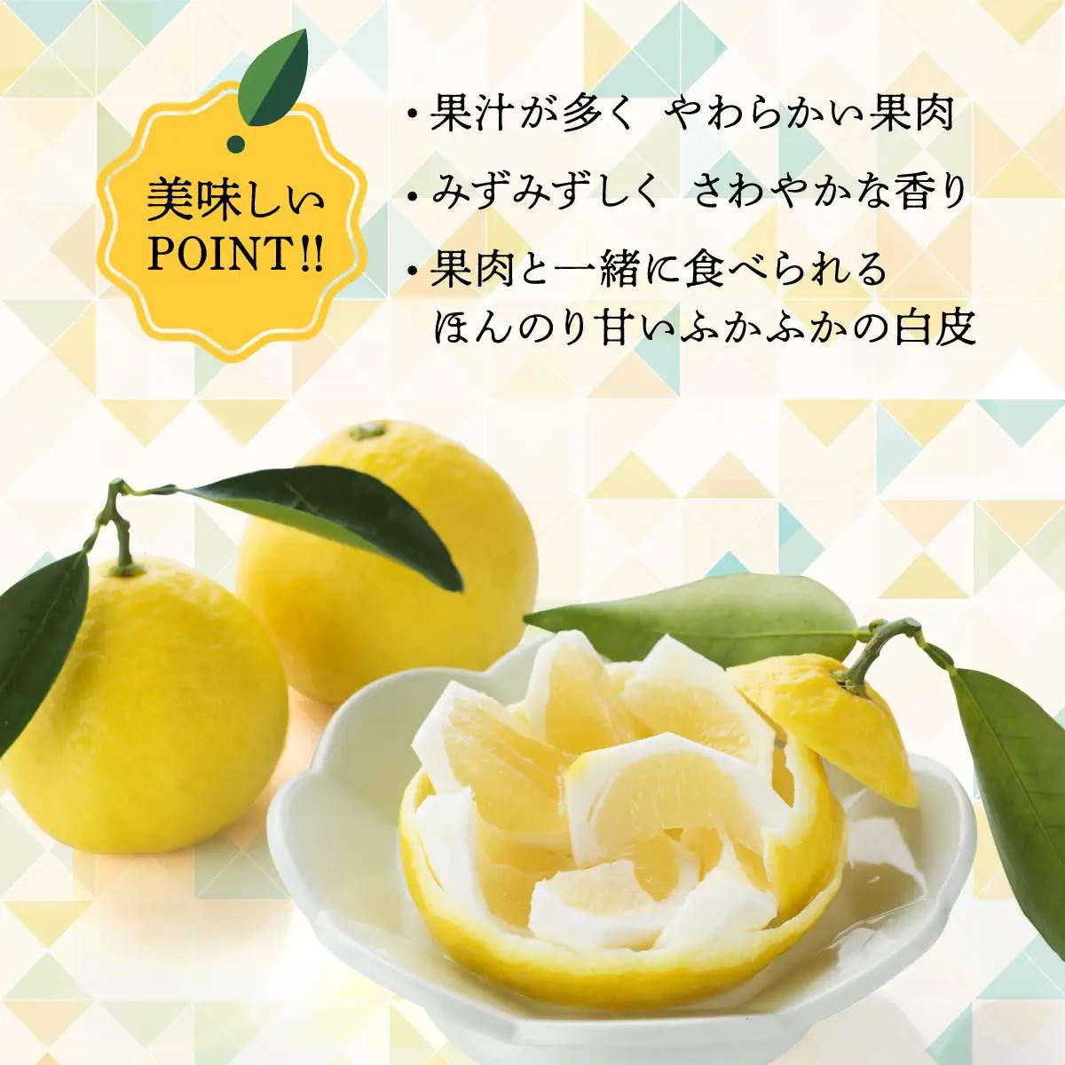 【先行受付】初春の旬「日向夏」種あり 5kg 果物 フルーツ くだもの 柑橘 フルーツサンド おやつ スイーツ デザート ジャム おすすめ ギフト 贈り物 贈答 プレゼント おすそ分け お返し 宮崎県