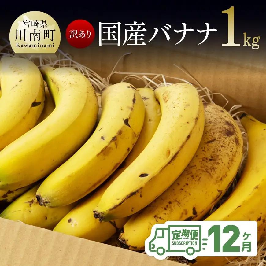 【訳あり】国産バナナ １ｋｇ【12ヶ月定期便】【 国産 バナナ 無農薬 フルーツ 果物 デザート 朝食 スムージー 訳ありバナナ 全12回 】