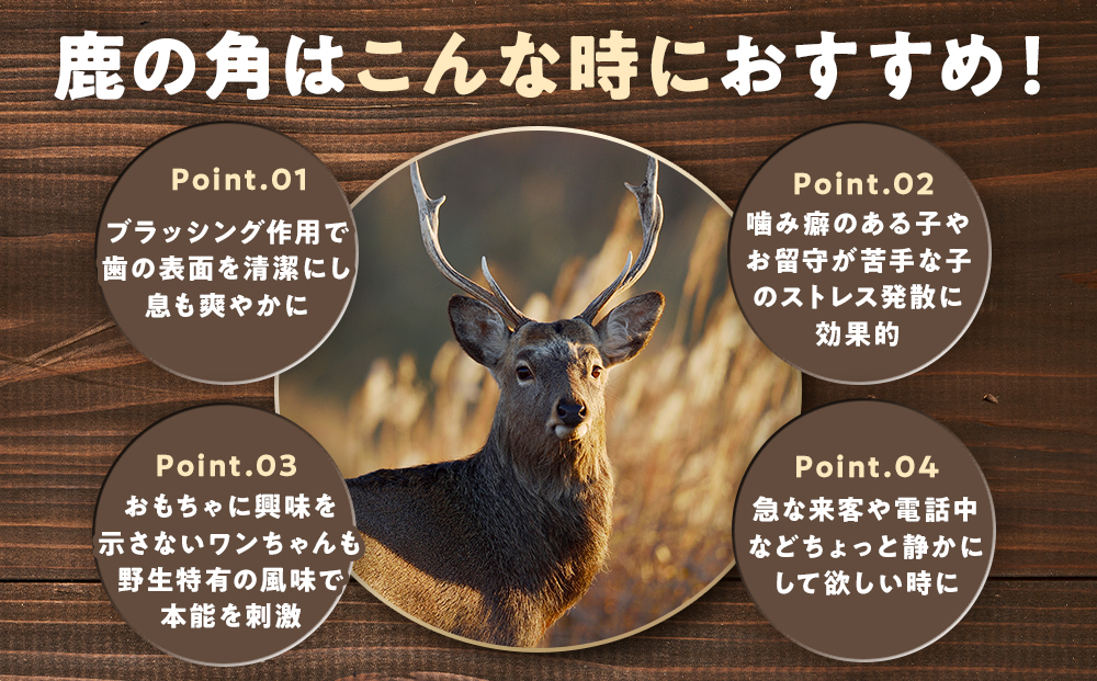 プレシカ 鹿の角 Lサイズ （15センチ半割り１本） 1袋 | 犬 ペット用 愛犬用 おもちゃ 玩具 鹿角 エゾシカ 歯みがき ガム デンタルケア ストレス発散 天然 無添加 北海道 津別町 送料無料