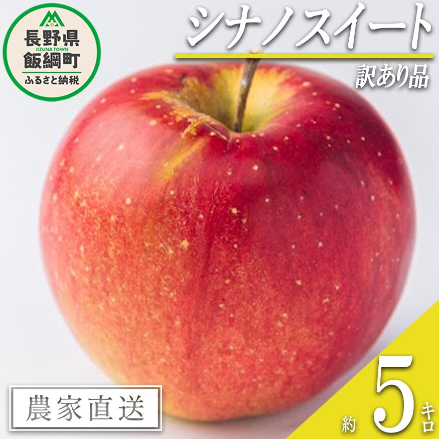 【ふるさと納税】りんご シナノスイート 5kg 訳あり 渡辺農園 沖縄へは配送不可 〔 果物 フルーツ 林檎 長野 予約 農家直送 不揃い 規格外 5キロ 11000円 〕【令和7年度収穫分】 発送：2025年10月中旬〜