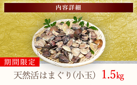 ＜先行受付/2026年5月より配送＞【千葉県ブランド認定】天然活はまぐり（小玉）《1.5㎏》／ふるさと納税 はまぐり ハマグリ 蛤 貝類 魚介 海鮮 お吸い物 パスタ パエリア お歳暮 贈答 お祝い 