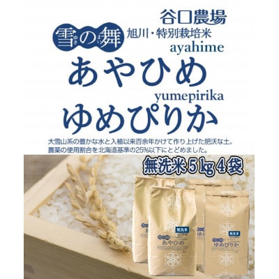 【2024年10月下旬より順次発送】あやひめ・ゆめぴりか　無洗米　各5kg×2袋_02077【1155795】