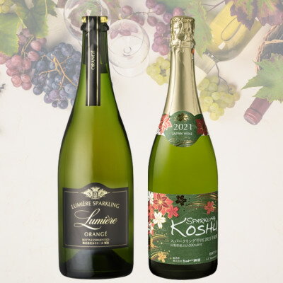 【ふるさと納税】スパークリングワイン2本セット(2)　038【配送不可地域：離島】【1641896】