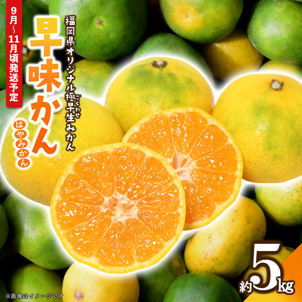 【先行受付】2026年の秋に配送！福岡県オリジナル品種極早生みかん『早味かん』約5kg＜配送不可：北海道・沖縄・離島＞ 果物 フルーツ ミカン おいしい 八女