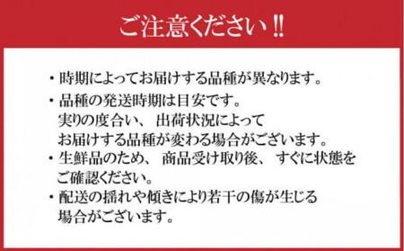 【先行予約】大玉で濃厚な讃岐もも 約3kg 9月出荷 品種おまかせ 【国産もも 桃 白桃 白鳳 あかつき 清水白桃 なつおとめ 川中島白桃 まどか 黄金桃 西大母 飯田桃園 さぬき市】
