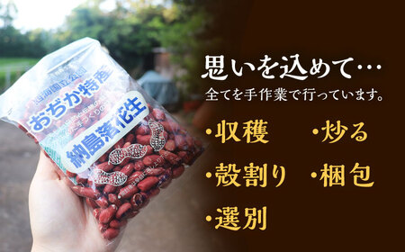 【先行予約】【数量限定】納島落花生 2袋 / 島 落花生 ピーナッツ ピーナッツ ピーナツ 小値賀 [DBP001]