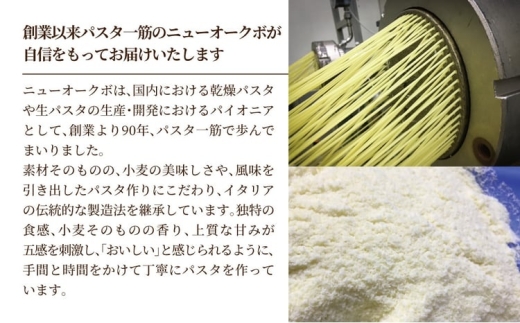 ザ・クラフトパスタ　ブロンズ1.9mmギフト〈 スパゲティ スパゲッティ プレゼント 箱入り BOX もちもち モチモチ 乾麺 麺 太麺 国産 イタリアン料理 セット ランチ 自宅用 〉 [№5412-0524]