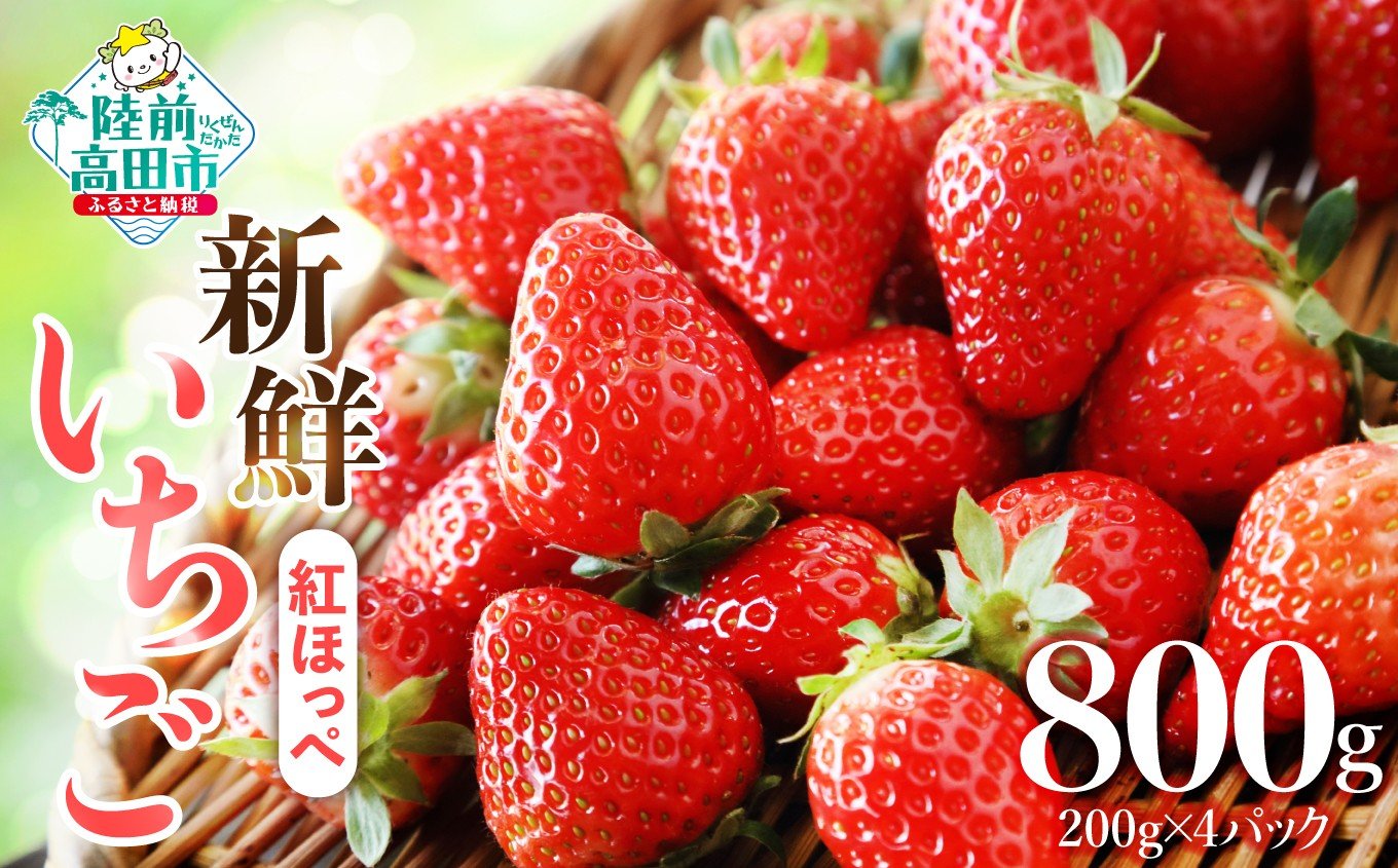 
                  【数量限定】 新鮮いちご 品種：紅ほっぺ 約800g (200g×4パック) 【 訳あり サイズ不揃い いちご フルーツ 旬 小分け 人気 岩手 陸前高田 】 RT3272
                
