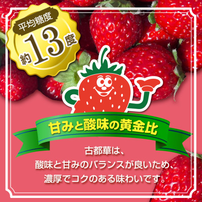 いちご　古都華・ことか2パック(8〜15粒入り/1pc)【配送不可地域：離島・北海道・沖縄県・東北】【1685936】