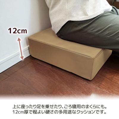 ふるさと納税 蒲郡市 極厚 ウレタンクッション 合皮レザー 座布団_カフェオレベージュ【G0472】 |  | 01