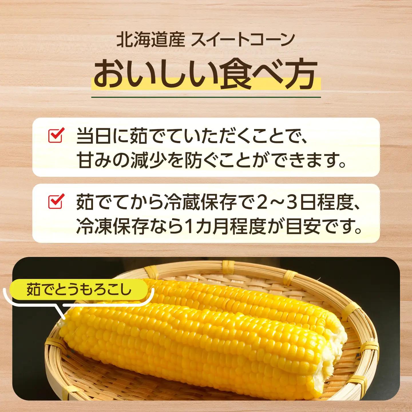 【2026年発送】【先行予約】【数量限定】北海道産スイートコーン　１０本入　 ｜ コーン