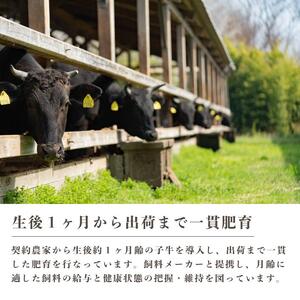 【ミノリフーズ】みのり牛肩ローススライス 820g　牛肉 お肉 旨み 脂あっさり 食材 調理 料理 国産 ビーフ　052011