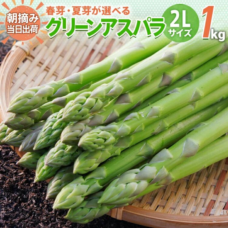 【ふるさと納税】アスパラ 2Lサイズ 1kg 朝採り 直送 選べる 春芽 夏芽 グリーンアスパラガス 朝採れ BT02 BT06 BT-S0002