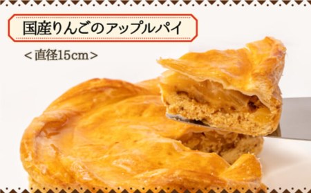 スイーツ 訳あり アップルパイ 国産りんご 5個セット 洋菓子 工場直売 （ 訳あり 訳あり スイーツ 訳あり 訳あり品  訳あり 5個セット 訳あり スイーツ 訳あり りんご 訳あり 訳あり 訳あり