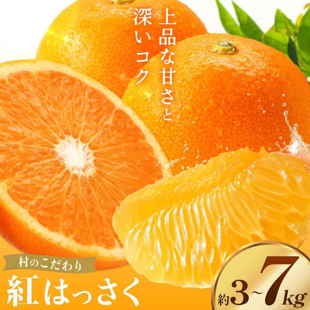 【ふるさと納税】八朔 紅八朔 村のこだわり 紅はっさく 選べる内容量 約3kg 約7kg 山口允張《1月中旬-2月上旬頃出荷》 徳島県 佐那河内村 送料無料 柑橘類 柑橘 果物 フルーツ はっさく べにはっさく お取り寄せフルーツ【配送不可地域あり】※離島不可