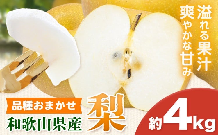 
                  【先行予約】【ふるさと納税】和歌山県産の 梨 約 4kg (品種おまかせ) 厳選館《2026年8月下旬-9月下旬頃出荷》和歌山県 日高町 果物 フルーツ 梨 なし ナシ 送料無料
                