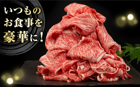 長崎県産黒毛和牛切り落とし 720g（360×2） [JGF001]和牛