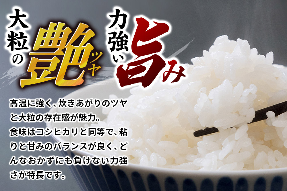 《定期便2ヶ月》令和7年産 【白米】群馬県 板倉町産 にじのきらめき 5kg
