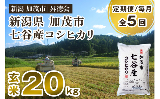 【令和8年産新米先行予約】【定期便5ヶ月毎月お届け】新潟県加茂市 七谷産コシヒカリ 玄米20kg（5kg×4）《10月中旬～順次出荷》 高柳地域産数量限定 昇徳会