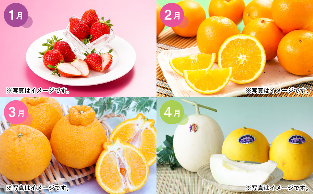 【6か月連続定期便】熊本便り！旬のフルーツ単品定期便 ｜ くだもの 果物 フルーツ 旬 いちご 柑橘 みかん デコポン メロン すいか 桃 シャインマスカット 梨 柿 熊本県