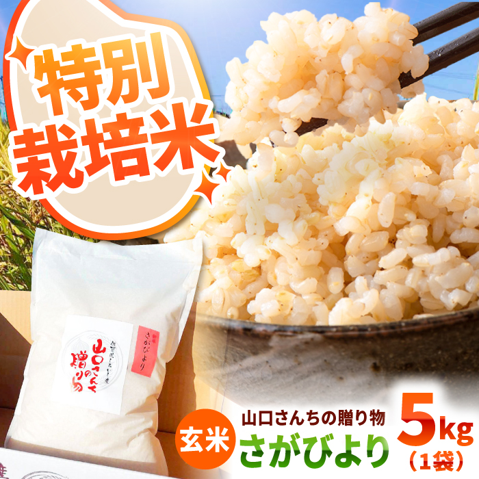 【令和7年産】  特別栽培米 さがびより（玄米） 5kg 【y'scompany】 米 5kg  玄米 特a 特a評価  佐賀県産 国産米 コメ こめ お米 ブランド米 おにぎり さがびより 九州 佐賀県 白石町 人気 おすすめ 令和8年発送[IAS021]
