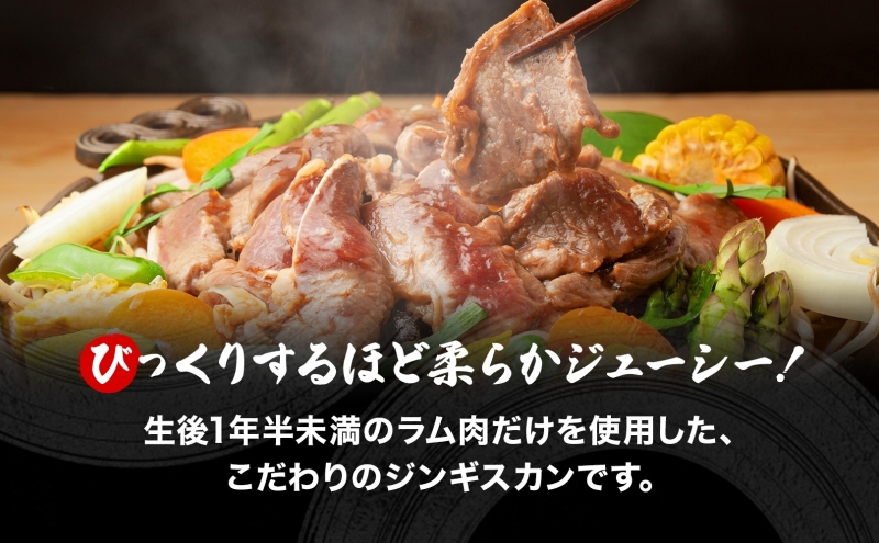 さかいのジンギスカン 味付けラム 500g 3袋 肉 焼肉 BBQ ジン