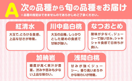 小寺さんの旬の白桃 約2kg 6～9玉 小寺壽夫 《7月中旬-8月中旬頃出荷》 岡山県 笠岡市 岡山県産 モモ 果物 フルーツ もも 桃 紅清水 川中島白桃 なつおとめ 加納岩 浅間白桃 st-p
